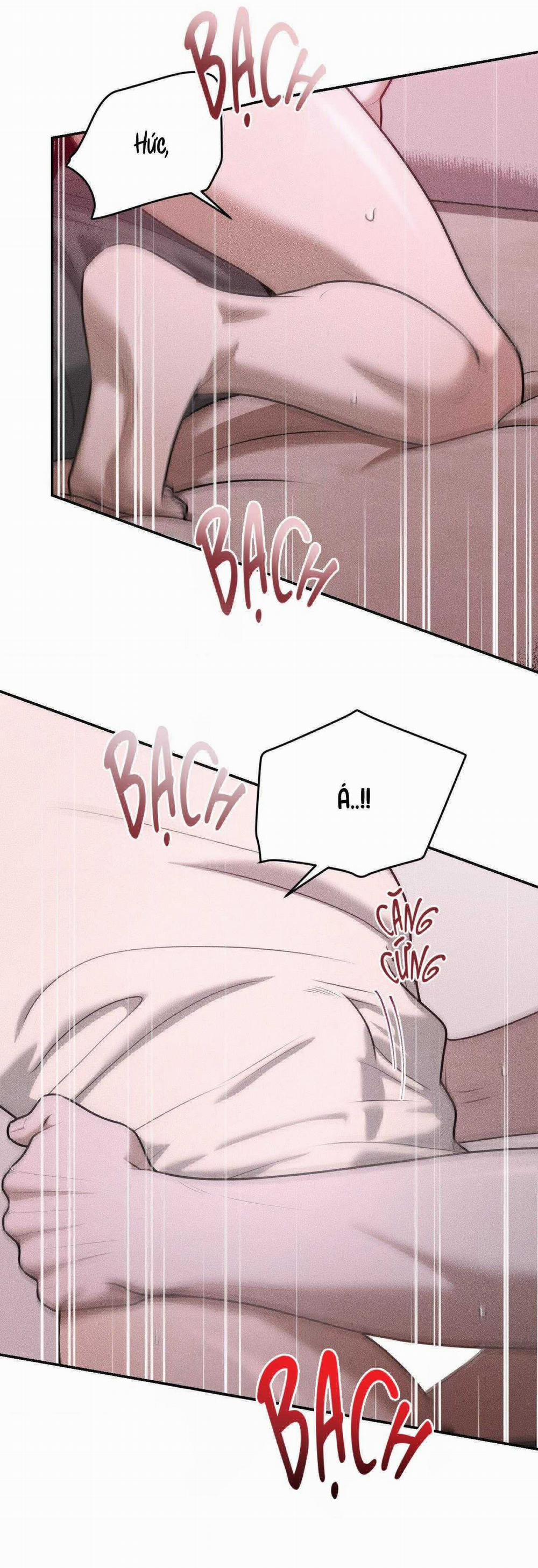 Gấu Teddy Thân Yêu 36 trang 27