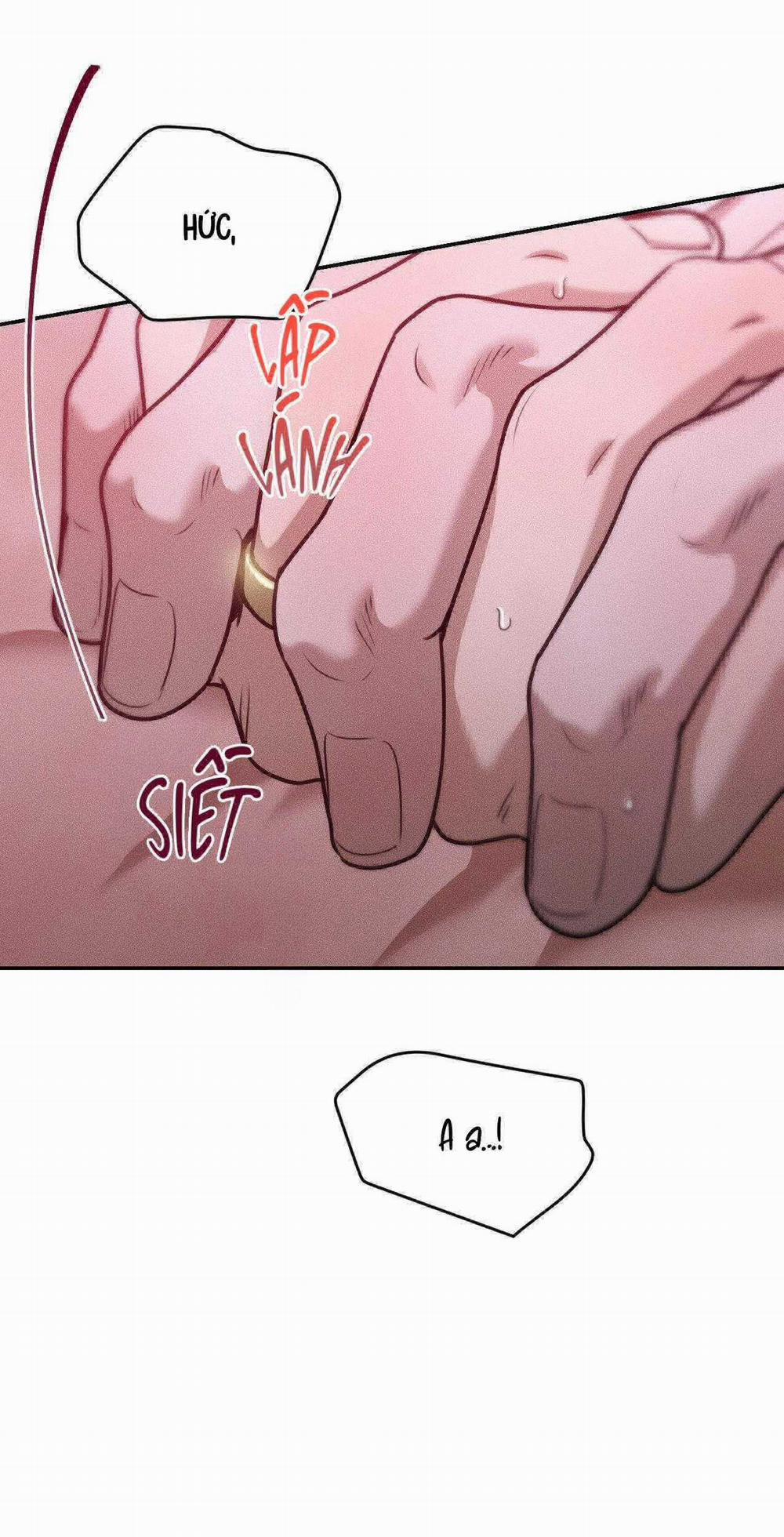 Gấu Teddy Thân Yêu 36 trang 34