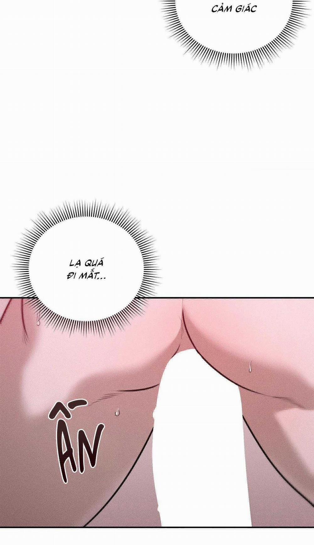 Gấu Teddy Thân Yêu 36 trang 9