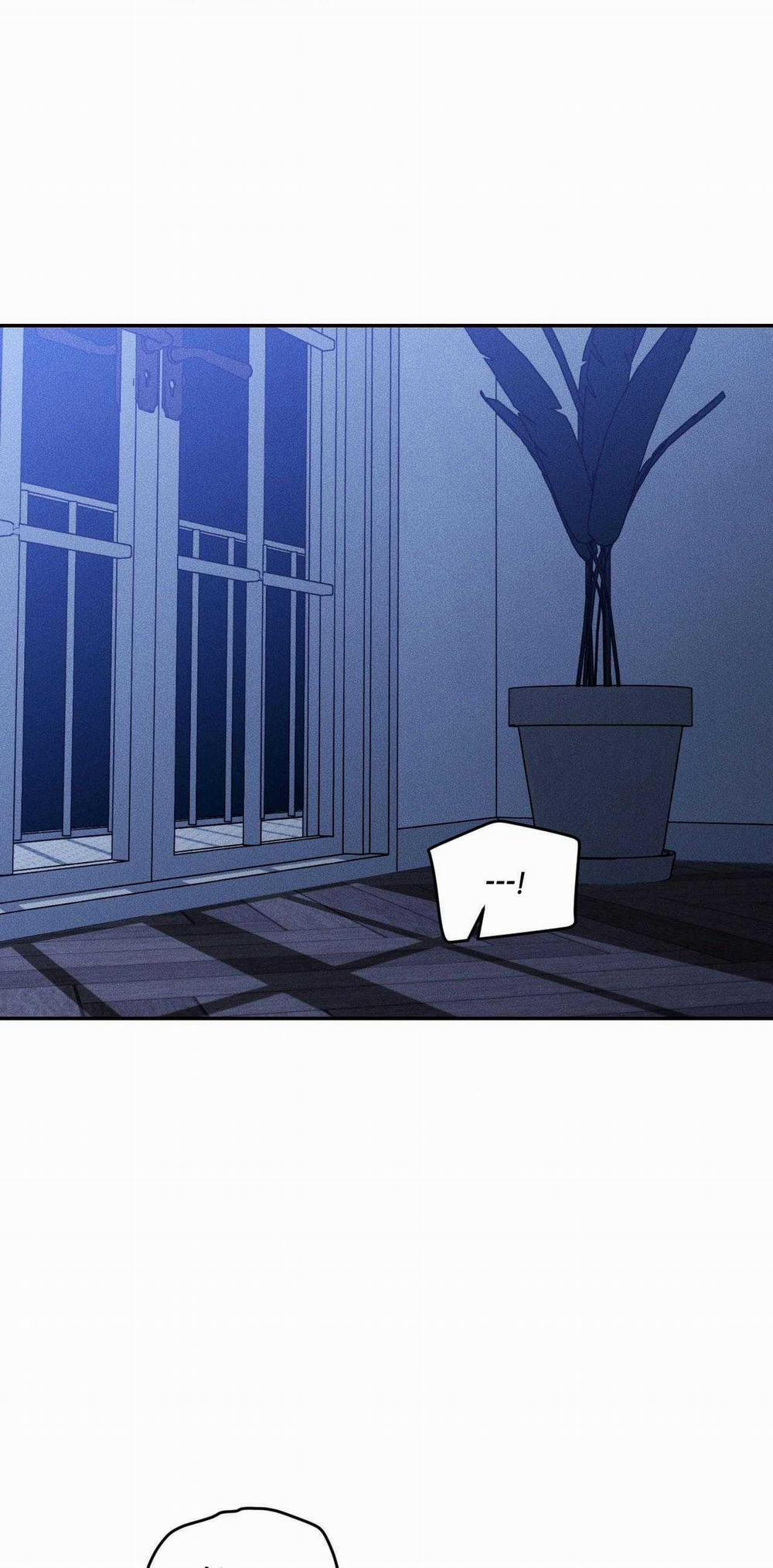 Gấu Teddy Thân Yêu 40 trang 1