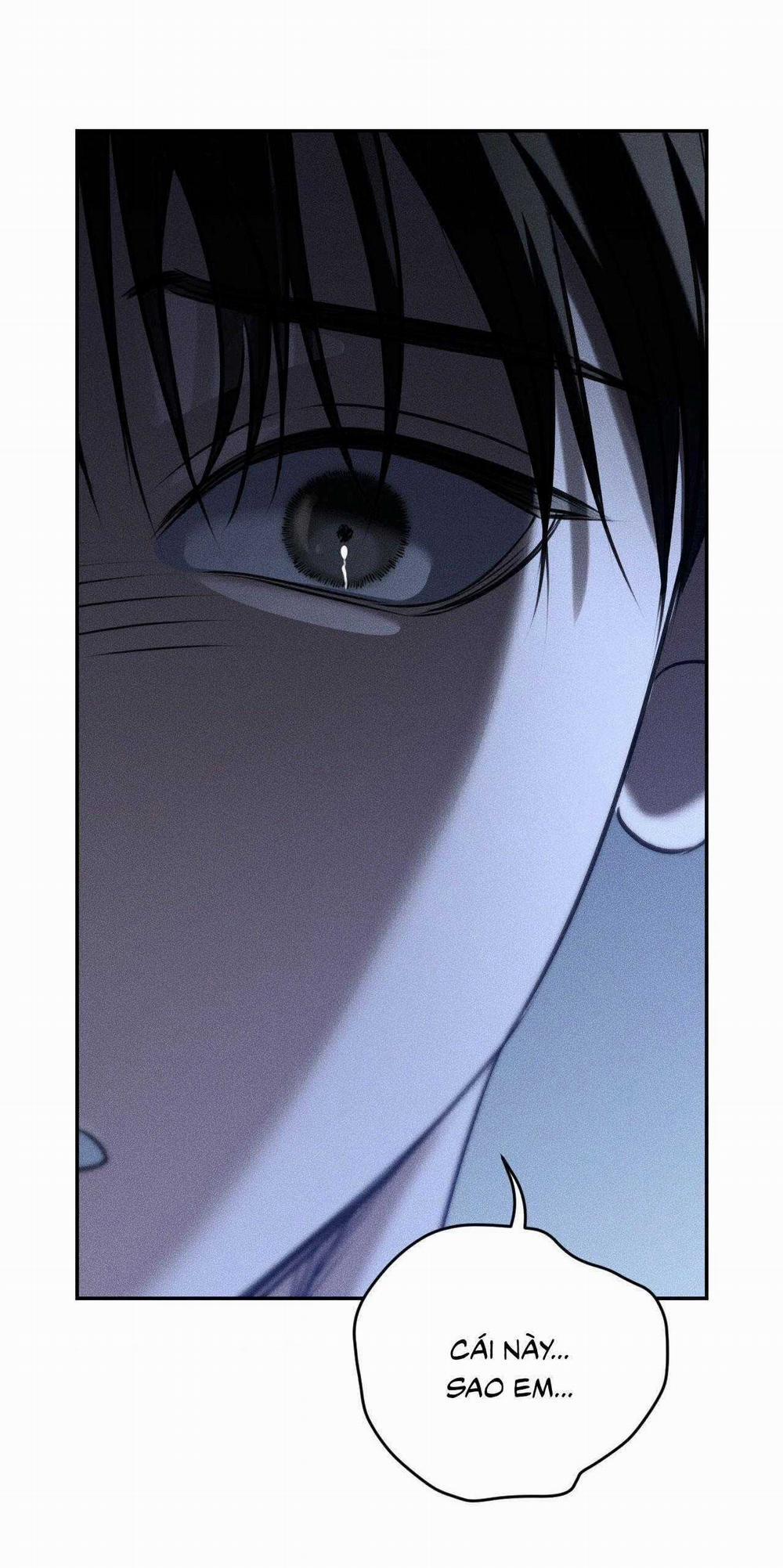 Gấu Teddy Thân Yêu 40 trang 13