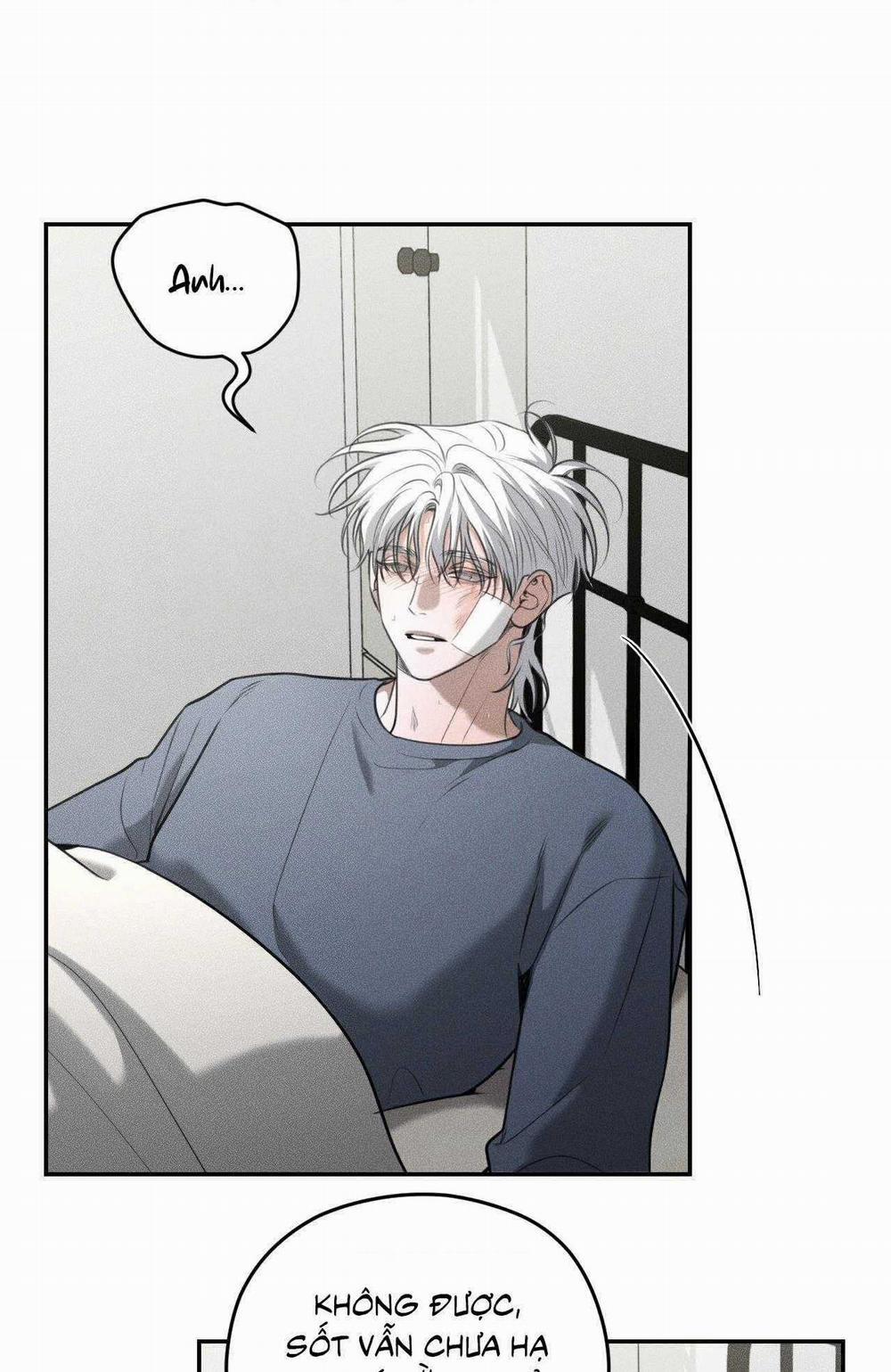 Gấu Teddy Thân Yêu 42 trang 11