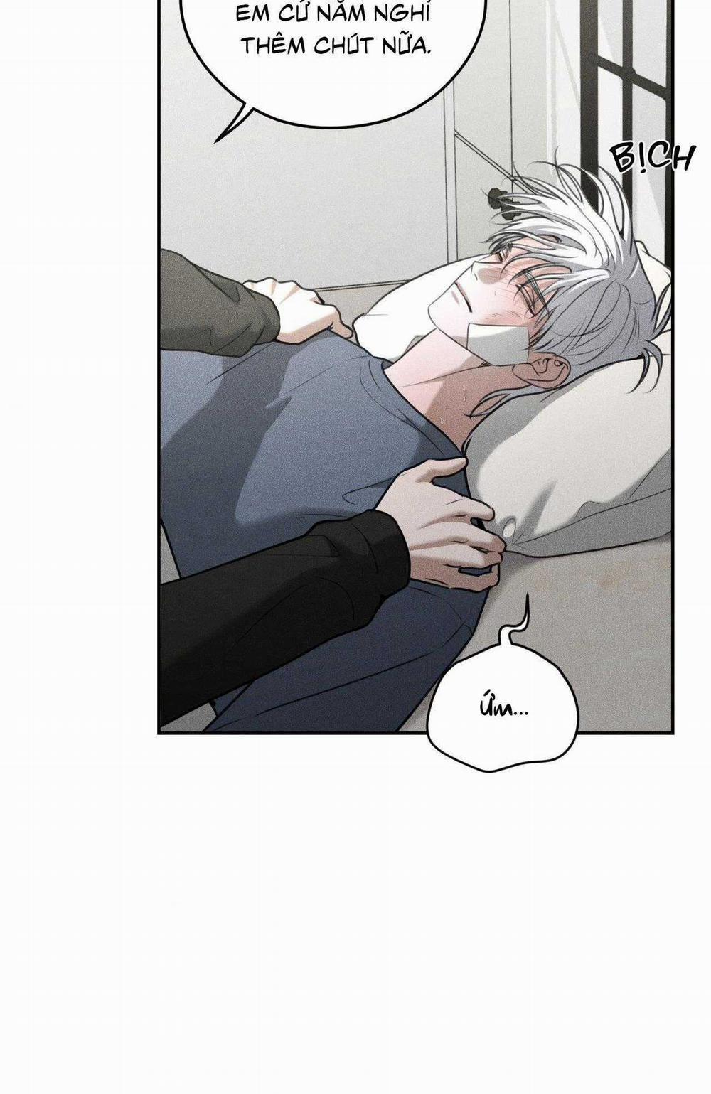 Gấu Teddy Thân Yêu 42 trang 12