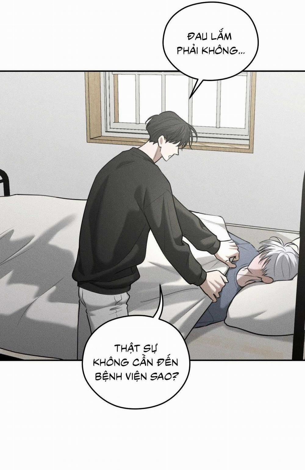 Gấu Teddy Thân Yêu 42 trang 13