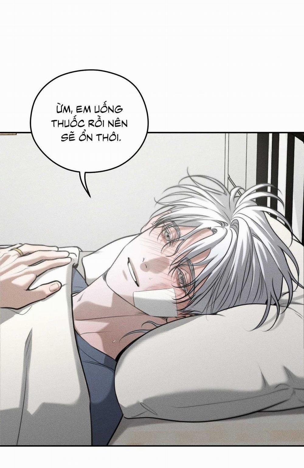 Gấu Teddy Thân Yêu 42 trang 14