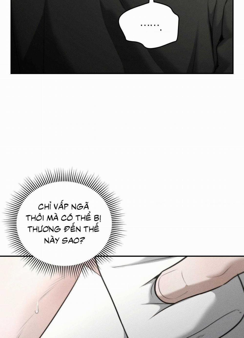 Gấu Teddy Thân Yêu 42 trang 8