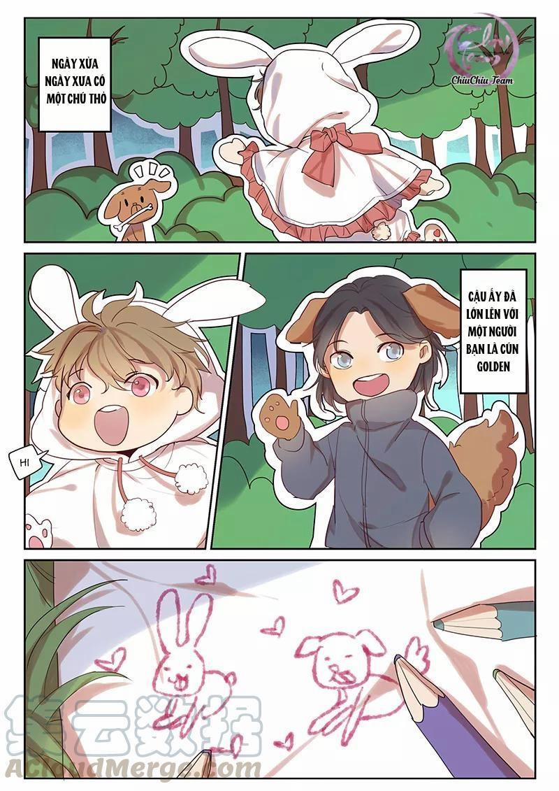 Ghét Cậu Thích Cậu 31 trang 0