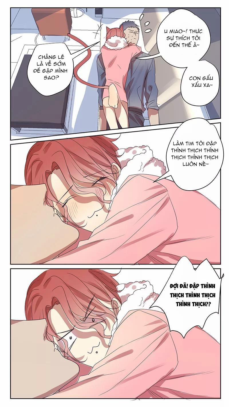 Ghét Cậu Thích Cậu 63 trang 11