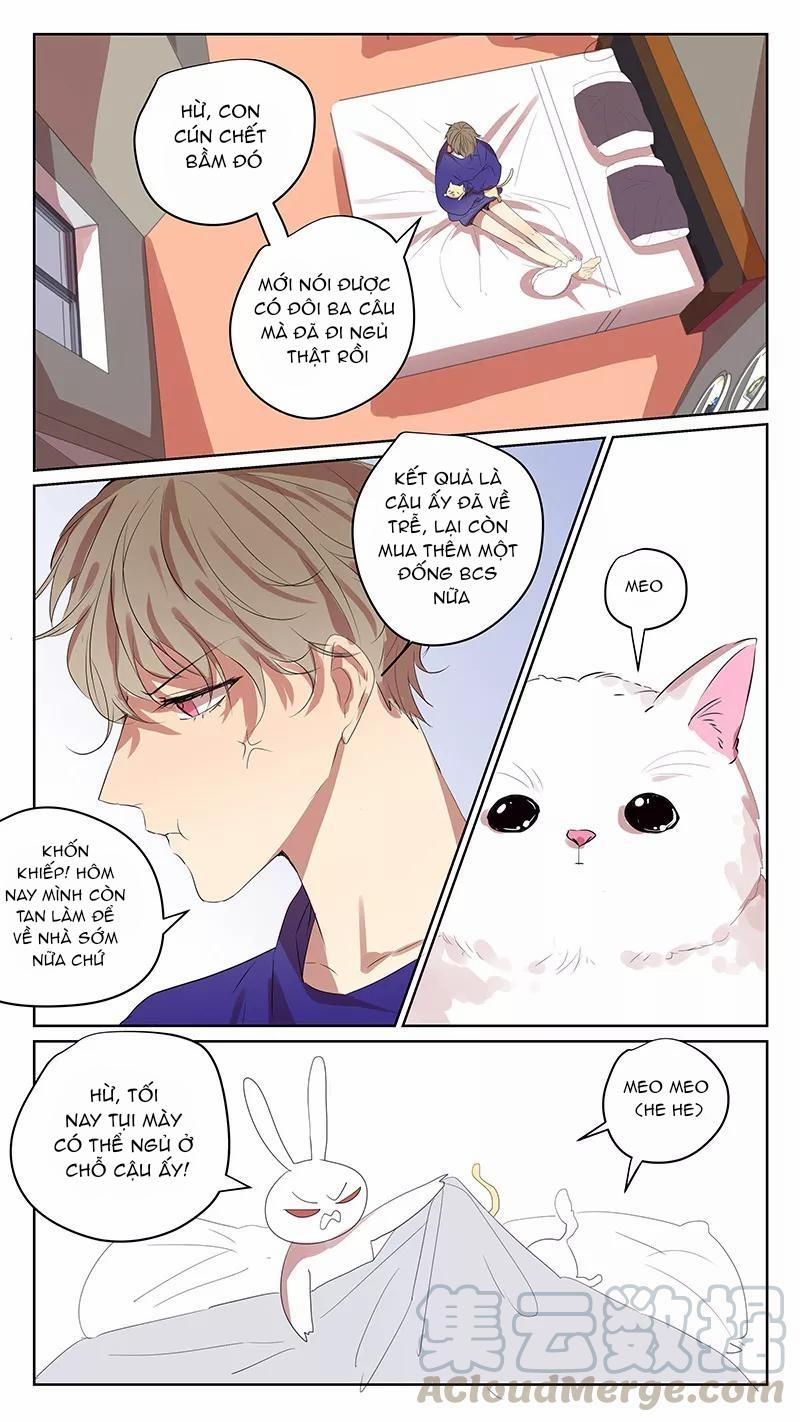 Ghét Cậu Thích Cậu 65 trang 7
