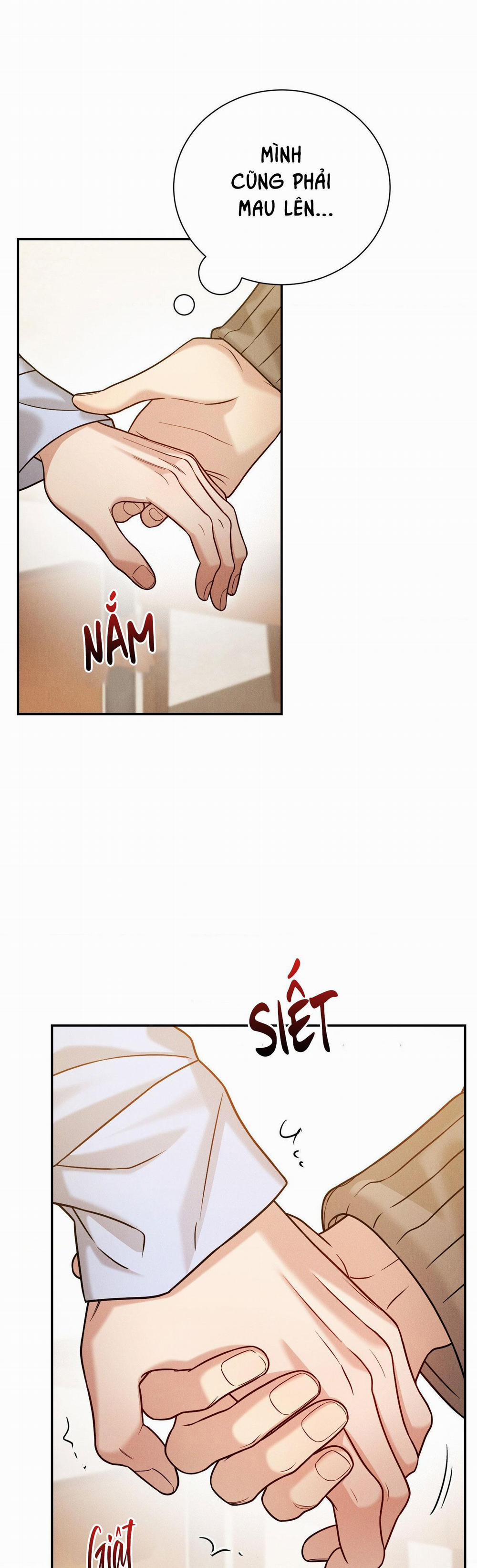 Giả Dược 46 trang 13