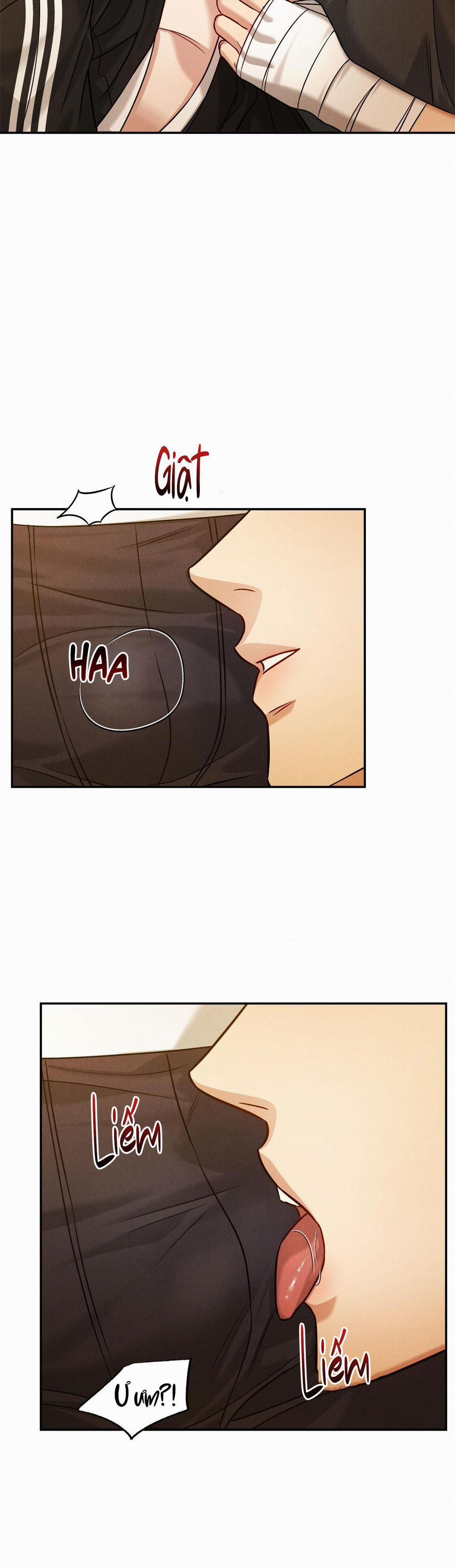 Giả Dược 52 trang 29