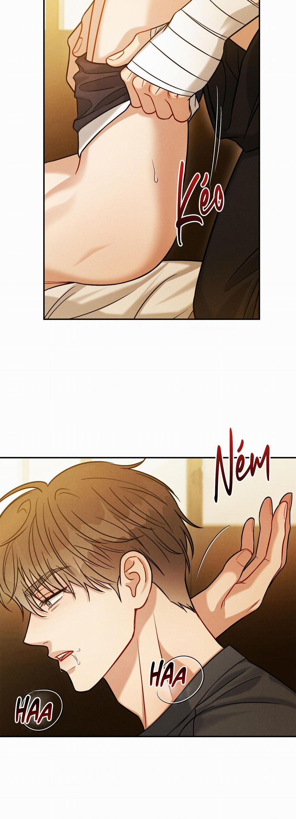 Giả Dược 52 trang 31