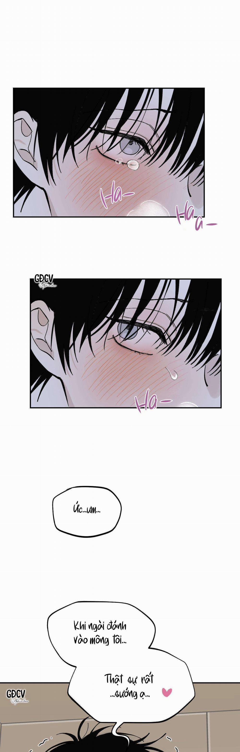 Gia Nhân 12 trang 17