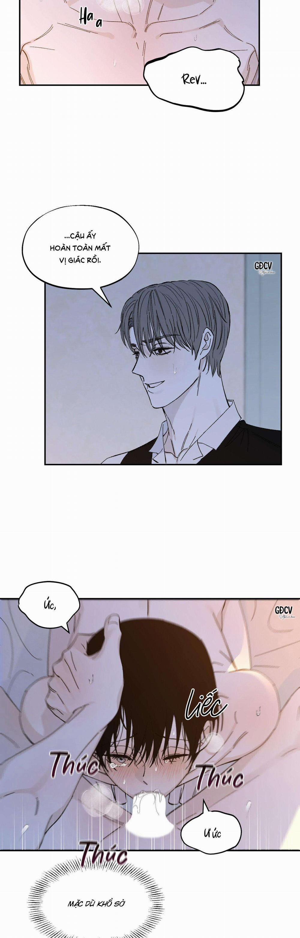 Gia Nhân 19 0 trang 19