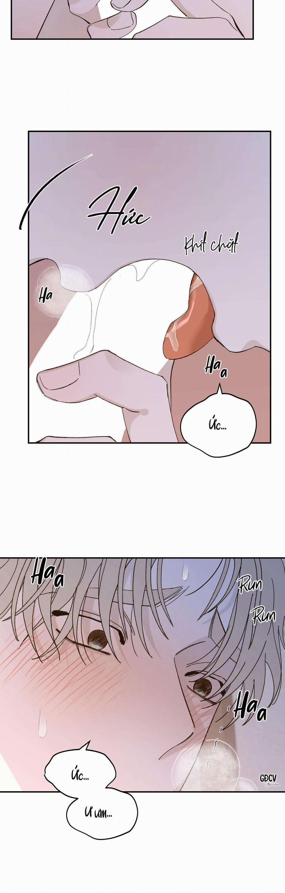 Gia Nhân 19 0 trang 8