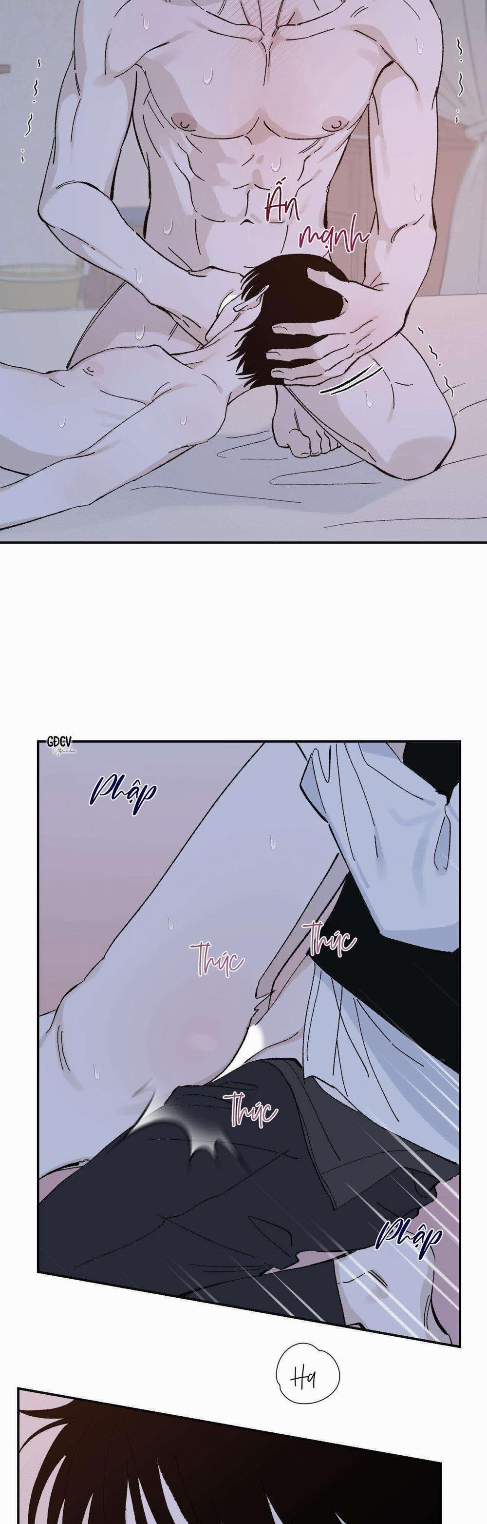 Gia Nhân 22 trang 12