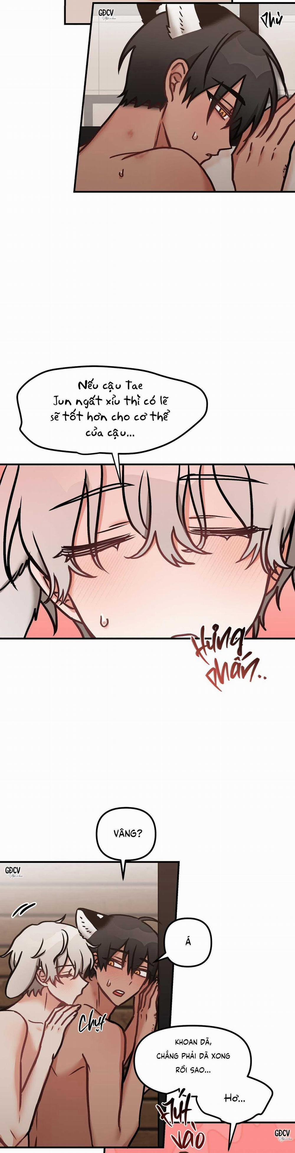 Gia Nhân 25 trang 12