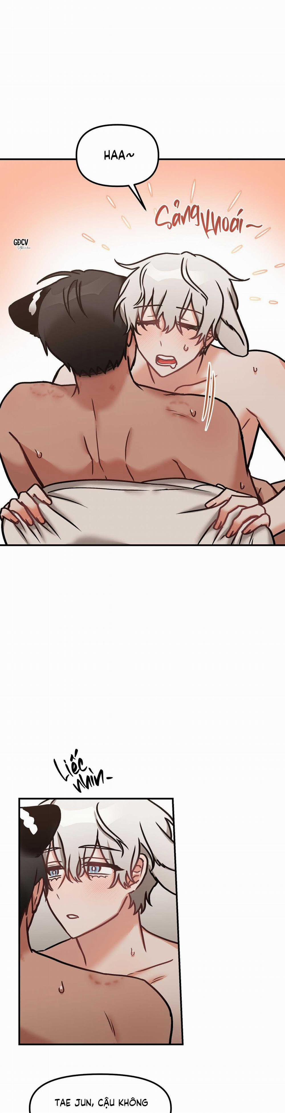 Gia Nhân 25 trang 8