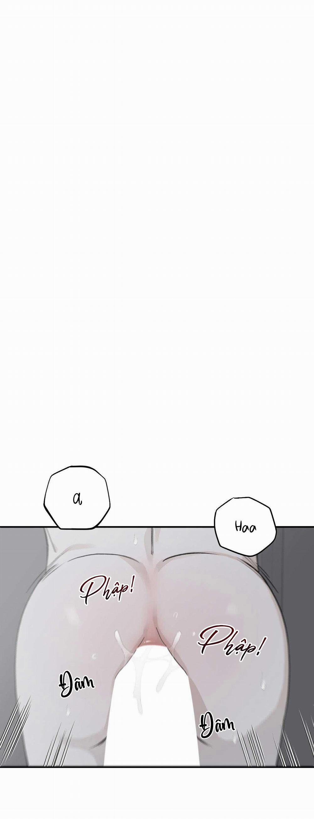 Gia Nhân 28 0 trang 0