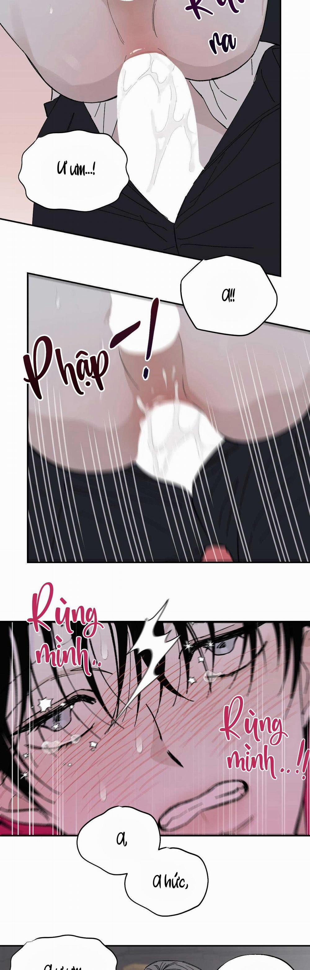 Gia Nhân 28 0 trang 14