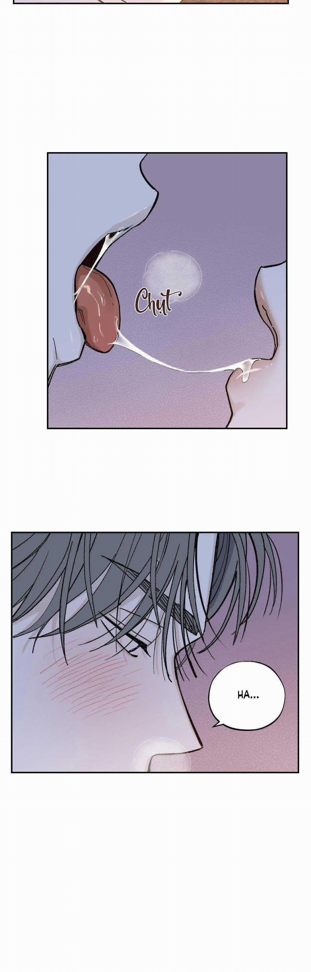 Gia Nhân 29 trang 11