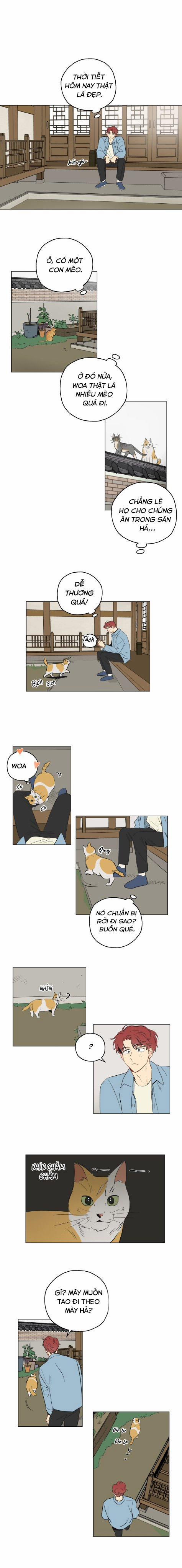 Giấc Mơ Kì Lạ 1 trang 5