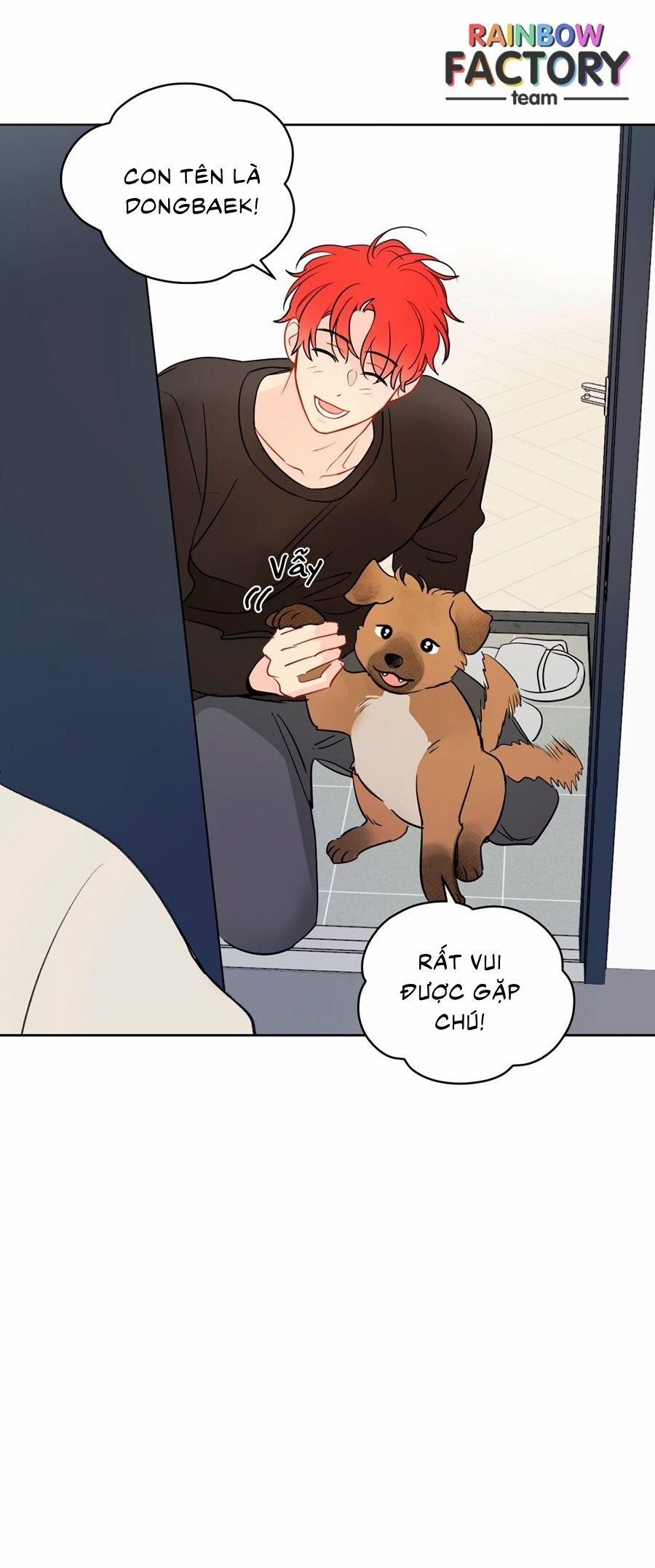 Giấc Mơ Kì Lạ 41 trang 15