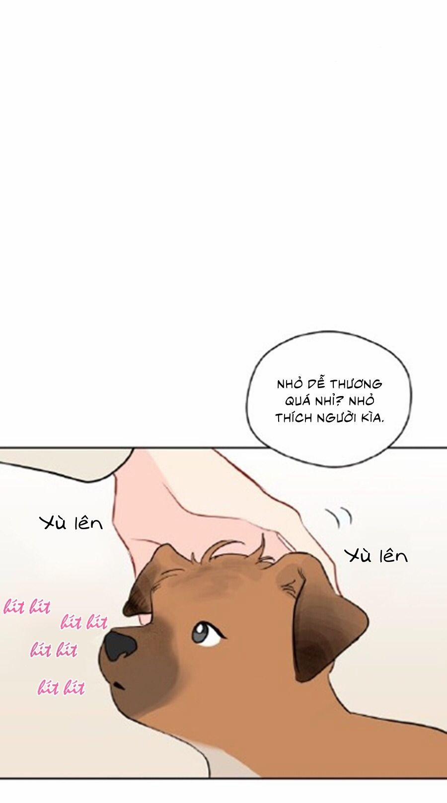 Giấc Mơ Kì Lạ 41 trang 16