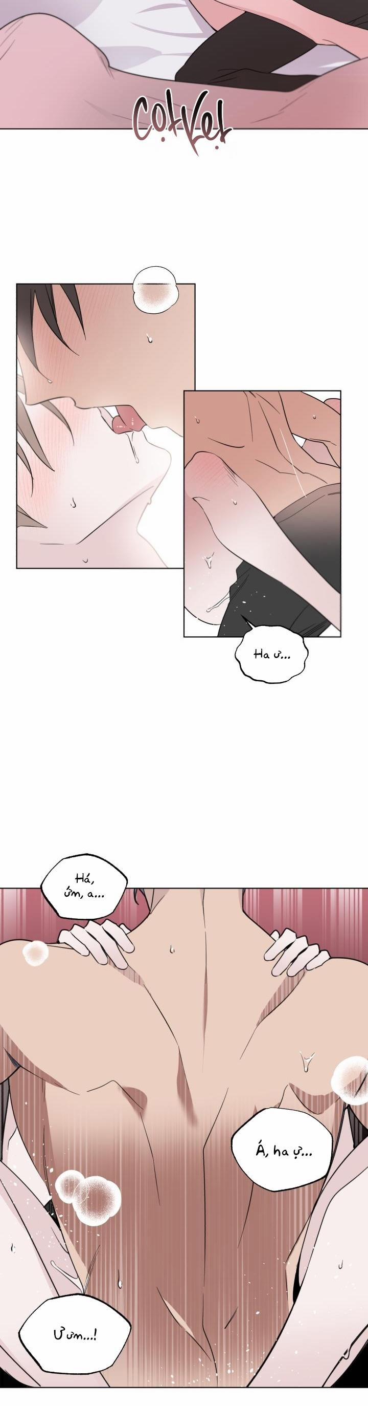 Giai điệu Của Bạn, Tiếng Lòng Của Tôi 0 trang 17