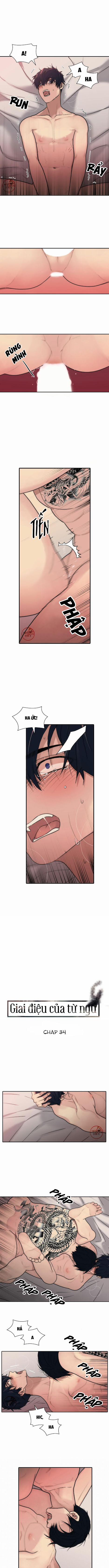 Giai Điệu Của Ngôn Ngữ 34 trang 0