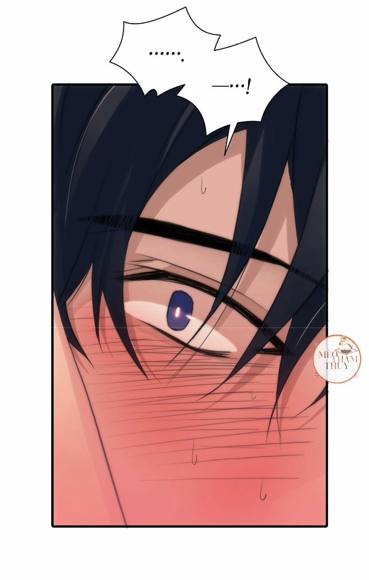 Giai Điệu Của Ngôn Ngữ 4 trang 19