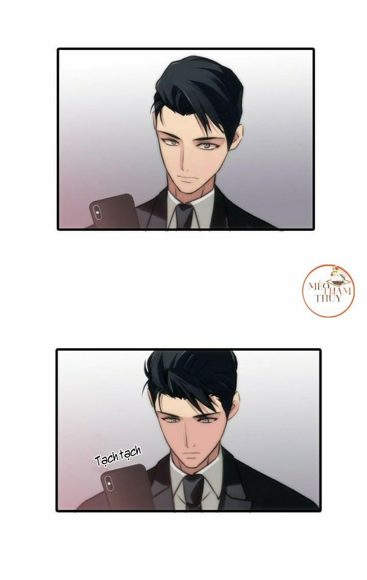 Giai Điệu Của Ngôn Ngữ 5 trang 10