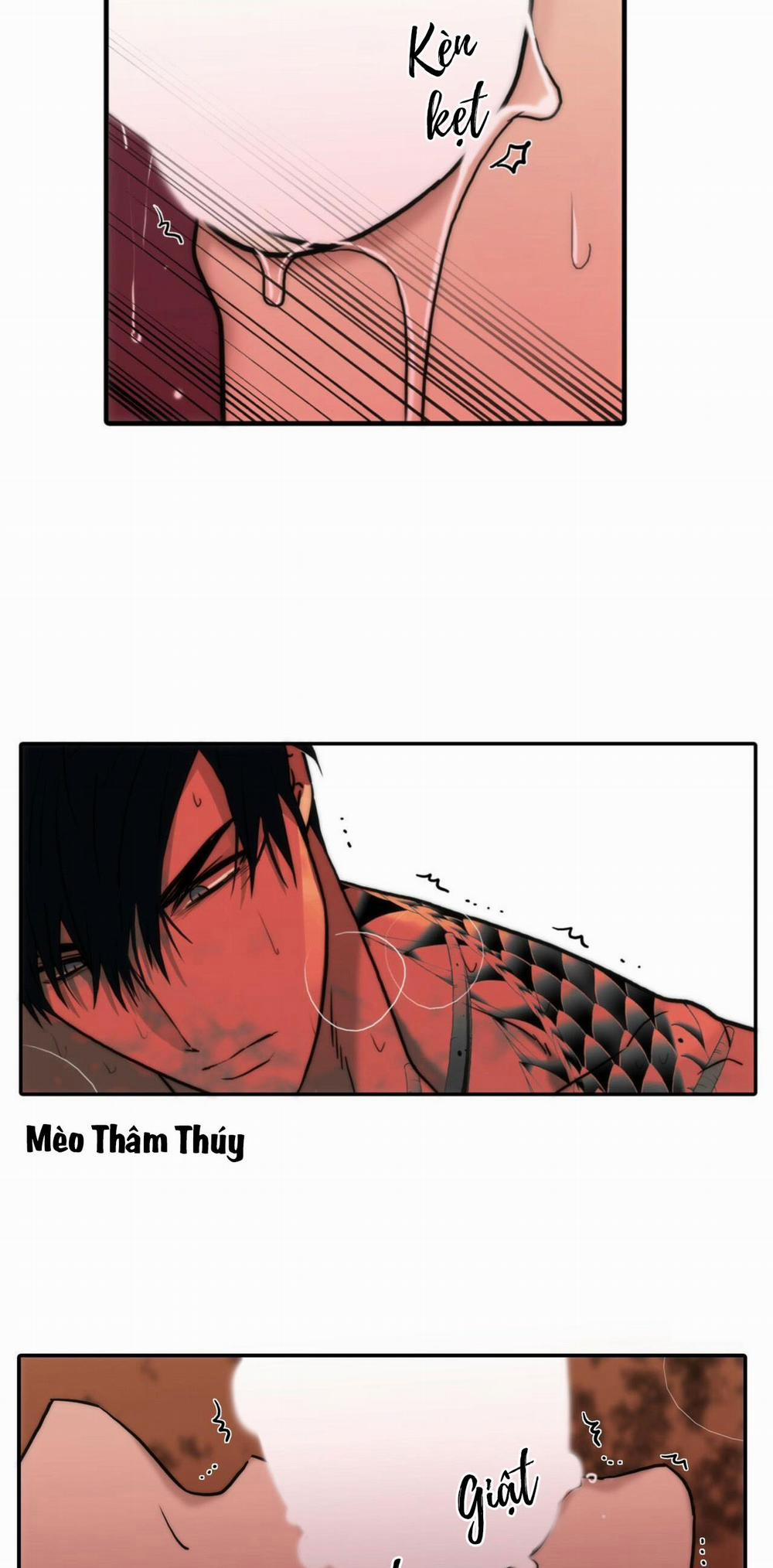 Giai Điệu Của Ngôn Ngữ 53 trang 14