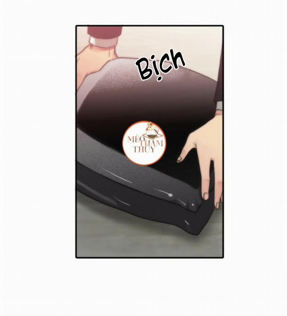 Giai Điệu Của Ngôn Ngữ 6 trang 0