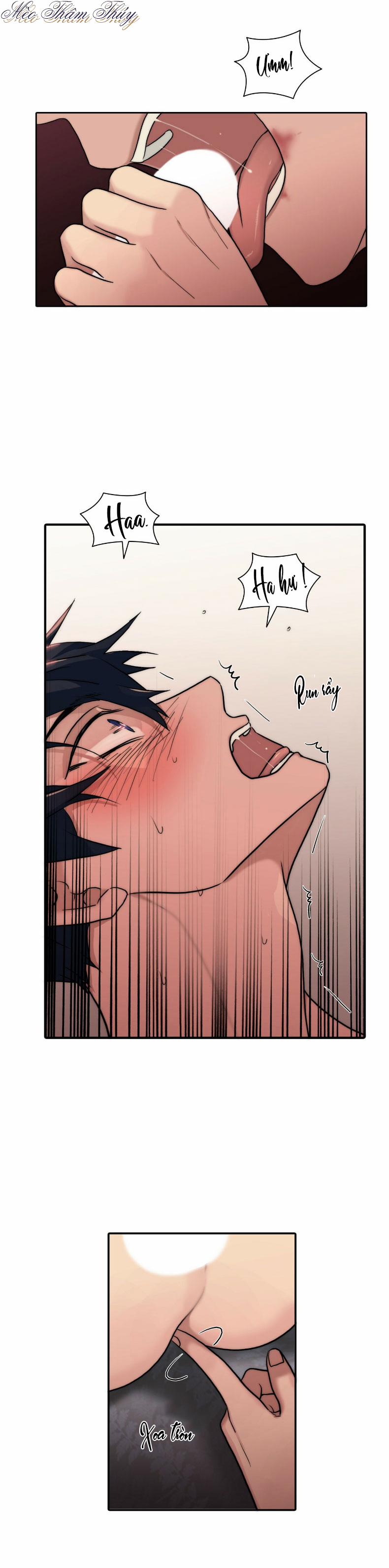 Giai Điệu Của Ngôn Ngữ 65 trang 4