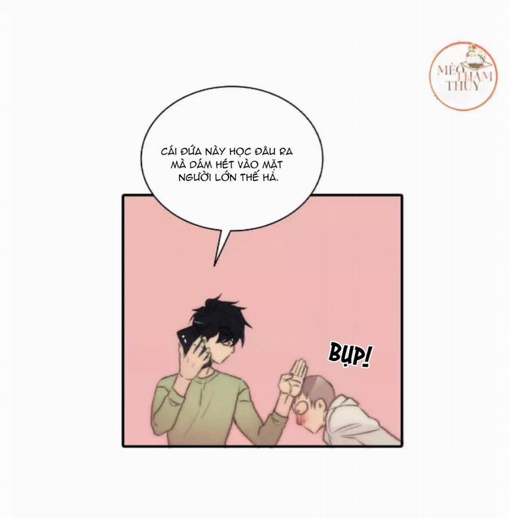 Giai Điệu Của Ngôn Ngữ 7 trang 48