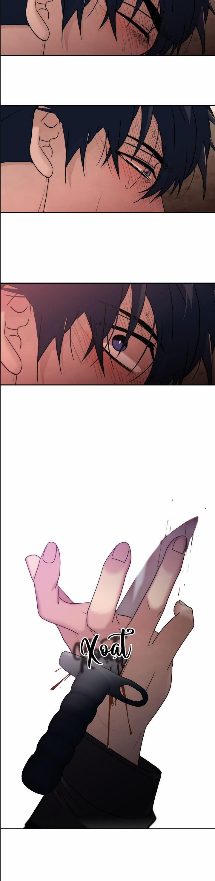 Giai Điệu Của Ngôn Ngữ 74 trang 10