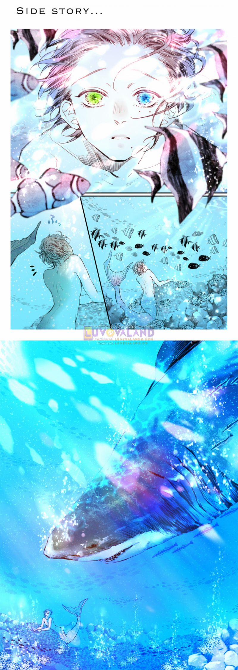 Giai Điệu Cuồng Nhiệt 1 trang 6