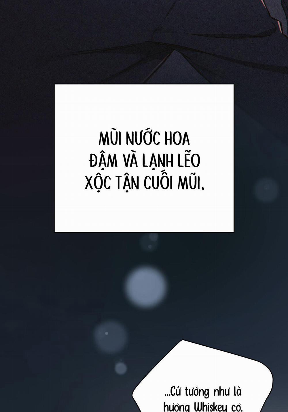 GIÁNG SINH – MERRY ON THE ROCK 2 trang 7