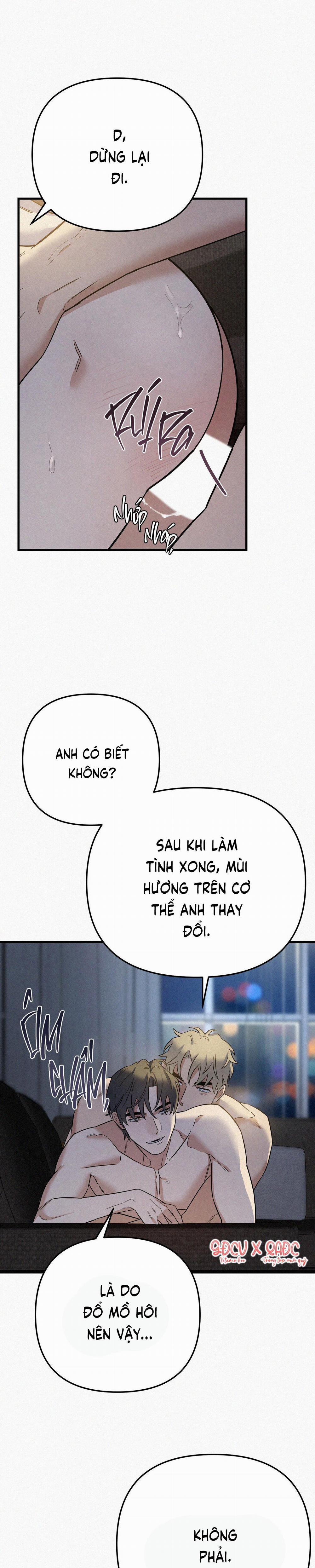 GIÁNG SINH – MERRY ON THE ROCK 5 Valentine trang 2