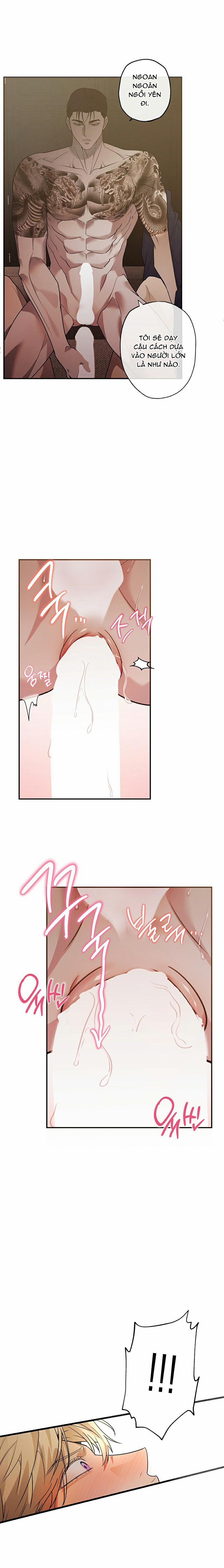 Giao Kèo Mafia 11 trang 1