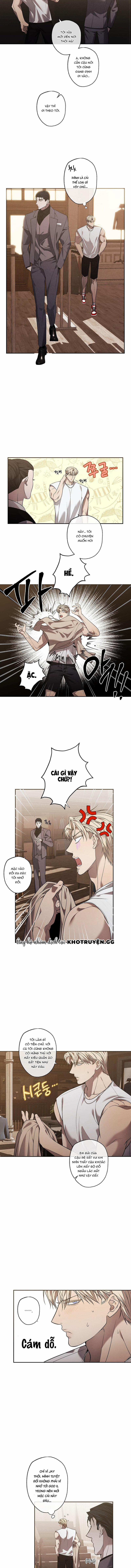 Giao Kèo Mafia 12 trang 4