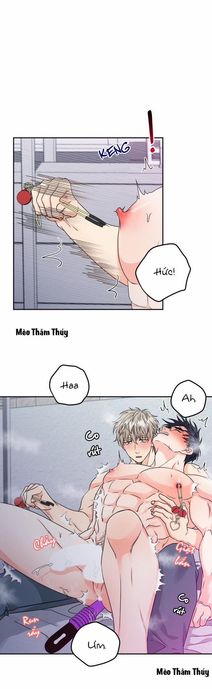 Giao Kiện Hàng Thành Công 11 trang 8