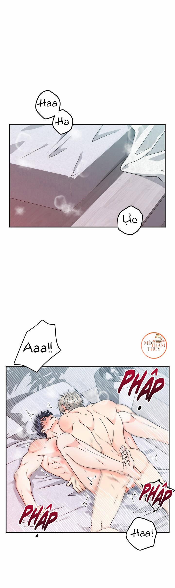 Giao Kiện Hàng Thành Công 13 trang 0