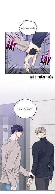 Giao Kiện Hàng Thành Công 15 trang 13