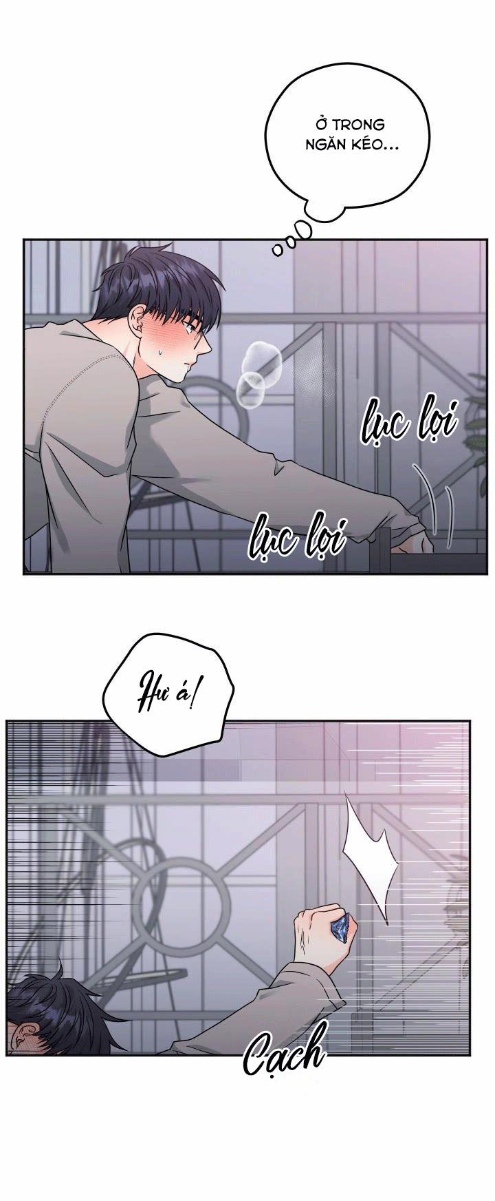 Giao Kiện Hàng Thành Công 17 trang 8