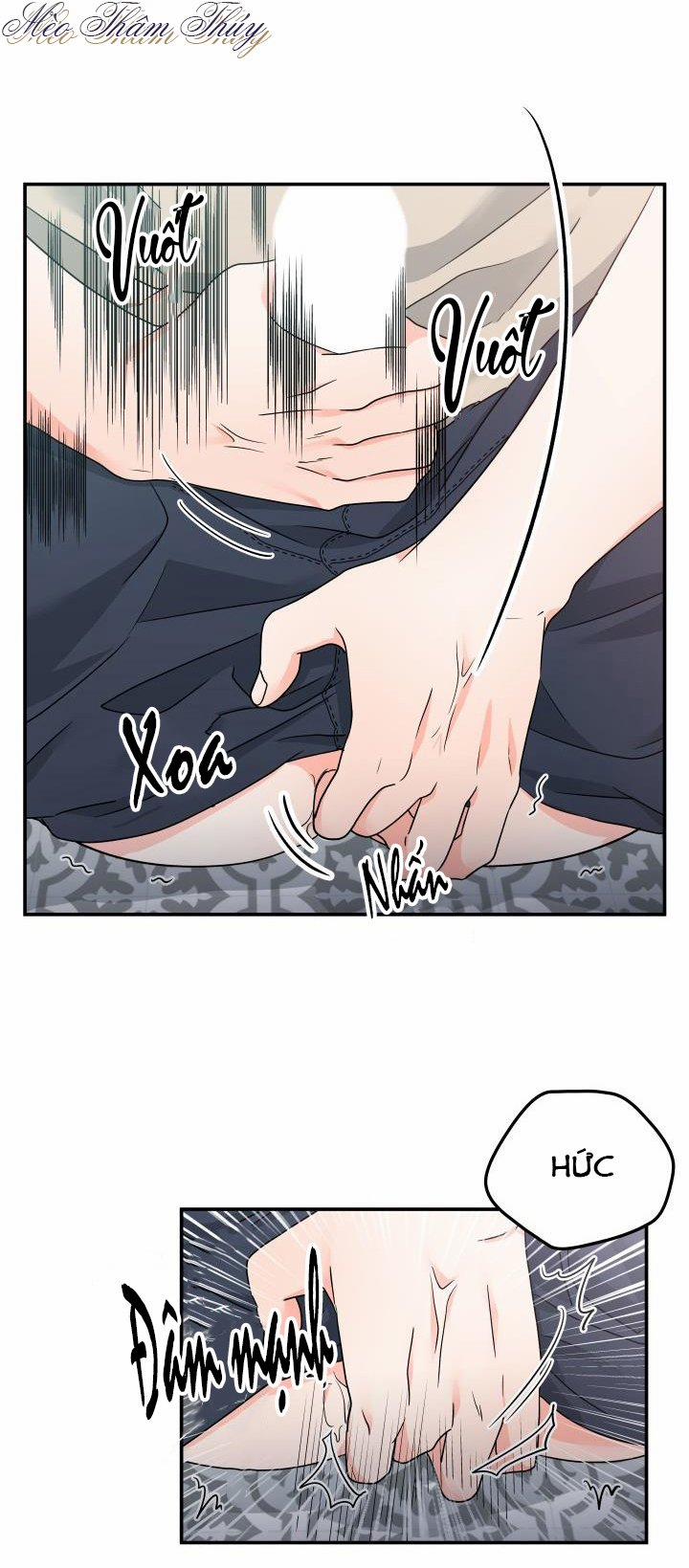 Giao Kiện Hàng Thành Công 9 trang 17