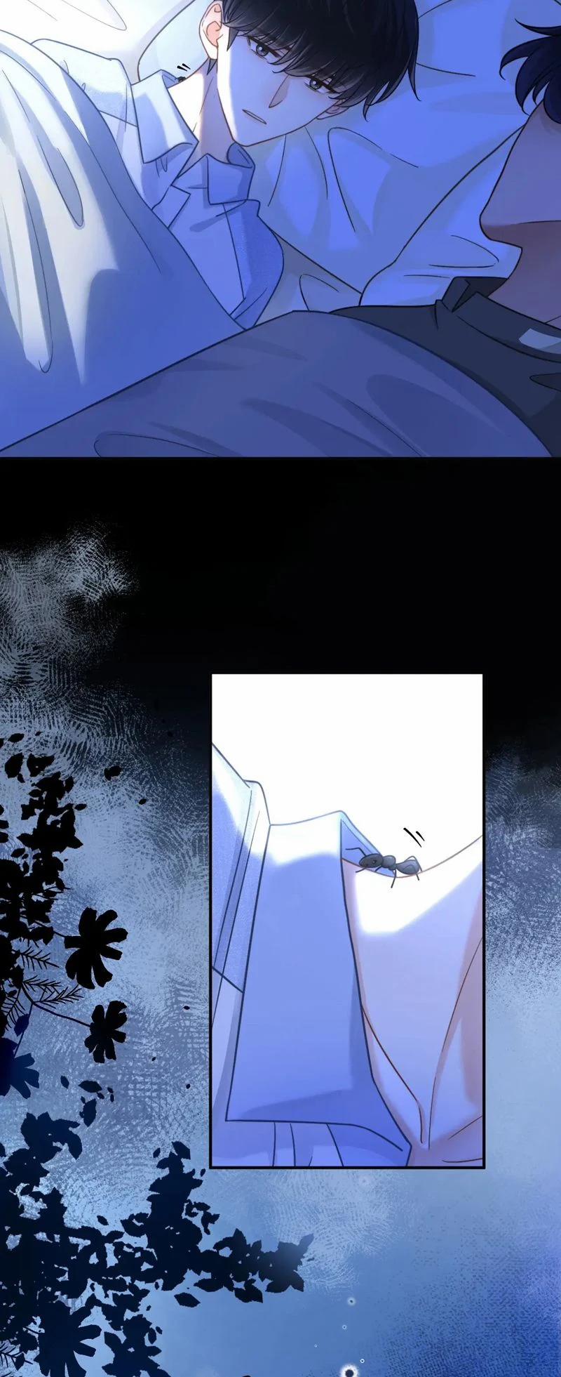 Giáo Thảo Bá Đạo Cầu Tôi Quay Lại 51 trang 2