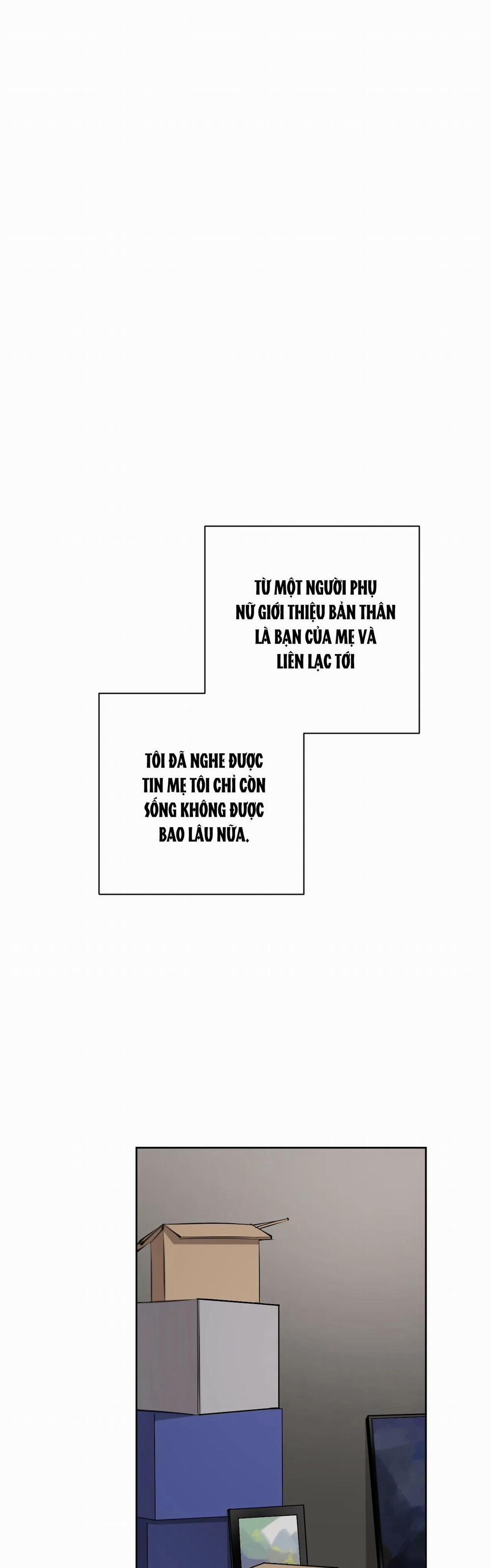 Giữa Tình Cờ Và Định Mệnh 5 trang 0