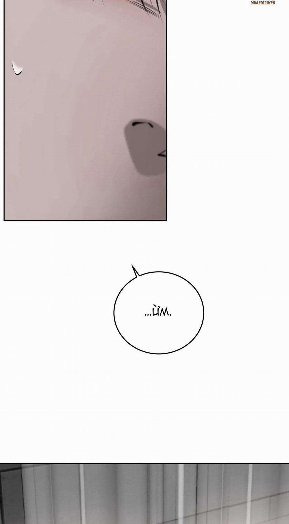 Giữa Tình Cờ Và Định Mệnh 58 trang 19